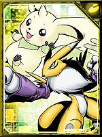 Terriermon and Renamon RE Collectors Card2.jpg