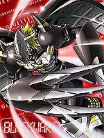 Blackwargreymon collectors card.jpg