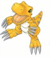 Agumon X-Antibody