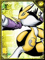 Renamon re collectors.jpg