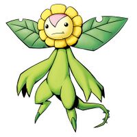 Sunflowmon.jpg