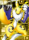 Renamon ex collectors.jpg