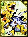 Agumon and Gabumon RE Collectors Card.jpg