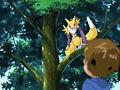 Digimon tamers - episode 02 18.jpg