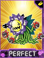 Blossomon Collectors Perfect Card.jpg