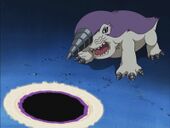"New Team, First Mission! Chase Drimogemon!"
