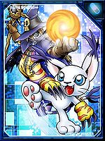 Wizarmon and Tailmon RE Collectors Card.jpg