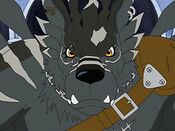 A virus Were Garurumon from Digimon Frontier