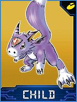 Dorumon Collectors Child Card.jpg