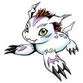 Gomamon