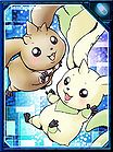 Terriermon and Lopmon RE Collectors Card.jpg