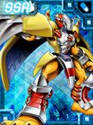 Wargreymon ex4 collectors.jpg