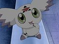 Digimon tamers - episode 02 06.jpg