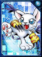 Tailmon re collectors card.jpg