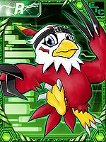 Hawkmon re collectors card.jpg