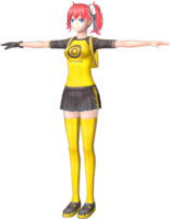 Aiba ami dscs model.png