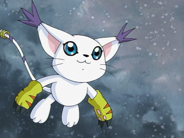 Gatomon's Playtime