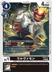 Dcg-ST23-11.jpg