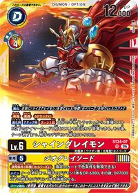 Dcg-ST24-07.jpg