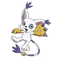 Tailmon - Wikimon - The #1 Digimon wiki  Digimon, Digimon digital  monsters, Digimon adventure tri