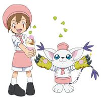Yagami hikari tailmon sweetscafe.jpg