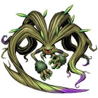 Ficusmon.jpg