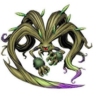 Ficusmon.jpg