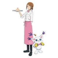 Yagami Hikari - Wikimon - The #1 Digimon wiki