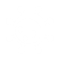 DSTS Icon Attribute Variable.png