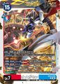 Dcg-EX13-016.jpg