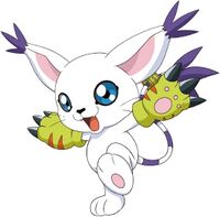 Tailmon  Digimon, Gatomon, Digimon adventure