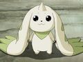 DT Terriermon.JPG