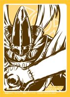 DCGofficialsleeve 3.jpg