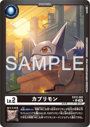 Dcg-EX12-003 2.jpg