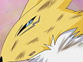 Digimon tamers - episode 06 16.jpg