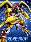 Wargreymon collectors card2.jpg