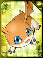 Patamon re collectors card.png