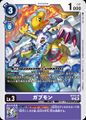 Dcg-ST21-10.jpg