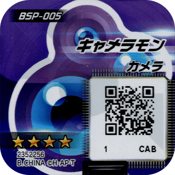 File:BSP-005 reverse qr.png