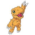 Agumon 20thshop.jpg