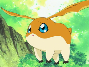 Patamon (Adventure:) - Wikimon - The #1 Digimon wiki