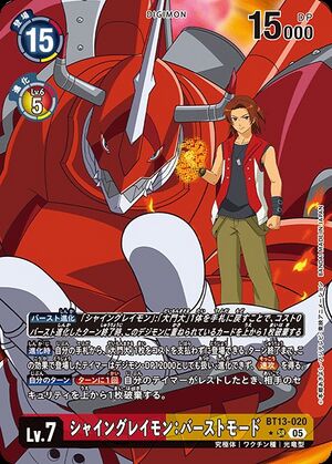 Dcg-BT13-020 6.jpg