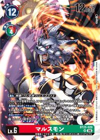 Dcg-BT25-020.jpg