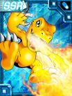 Agumon ex collectors card.jpg