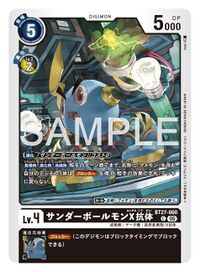 Dcg-BT27-060.jpg