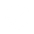 DSTS Icon Attribute Data.png