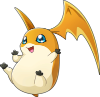 Patamon (Adventure:) - Wikimon - The #1 Digimon wiki