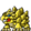 Tortamon