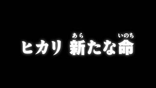 ヒカリ 新たな命 ("Hikari, New Life {{{transjp2}}}")