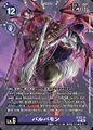 Dcg-ST22-14.jpg